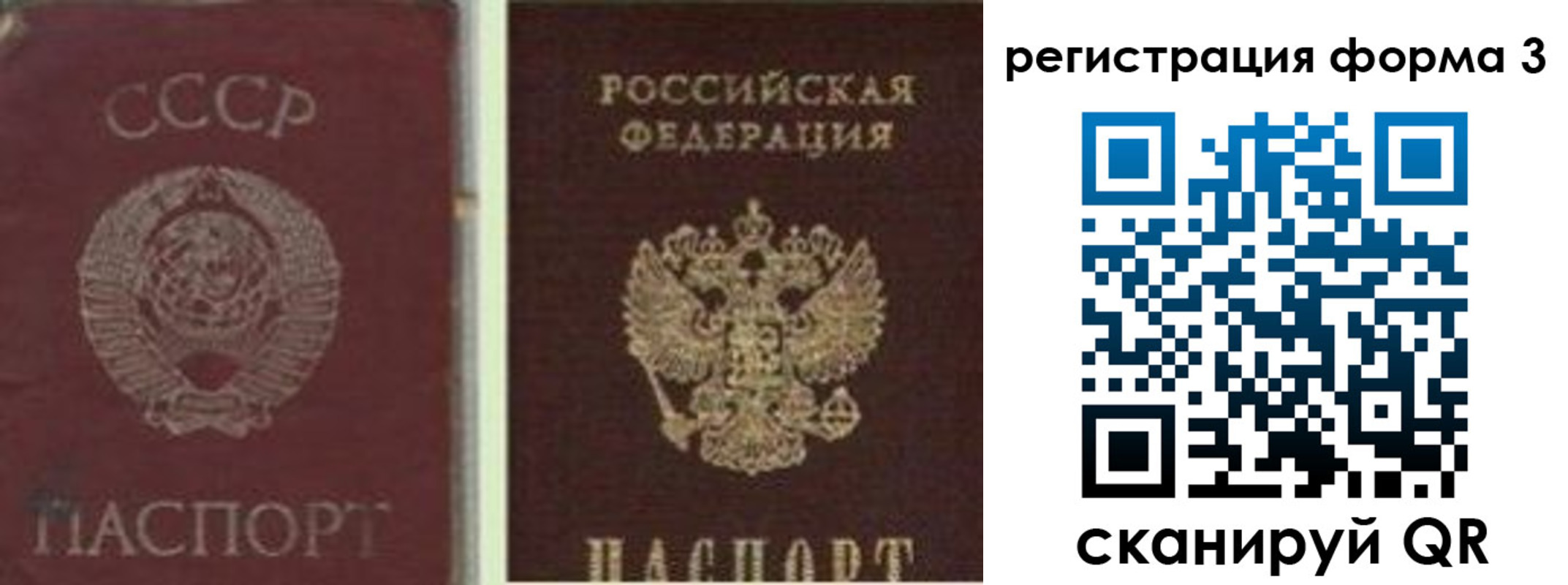 прописка для школы в Крымске